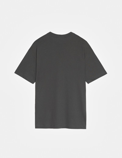Camiseta Treviso Cinza